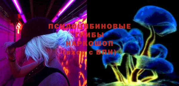 тгк Карталы