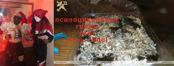 СК Карпинск