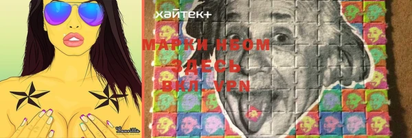 ГАЛЛЮЦИНОГЕННЫЕ ГРИБЫ Касимов
